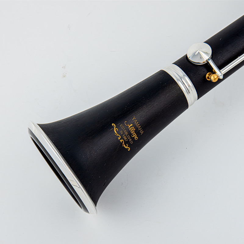 Musical Instrument Japan - Japan Gloednieuwe Professionele Hout/Bakeliet Buis Bb