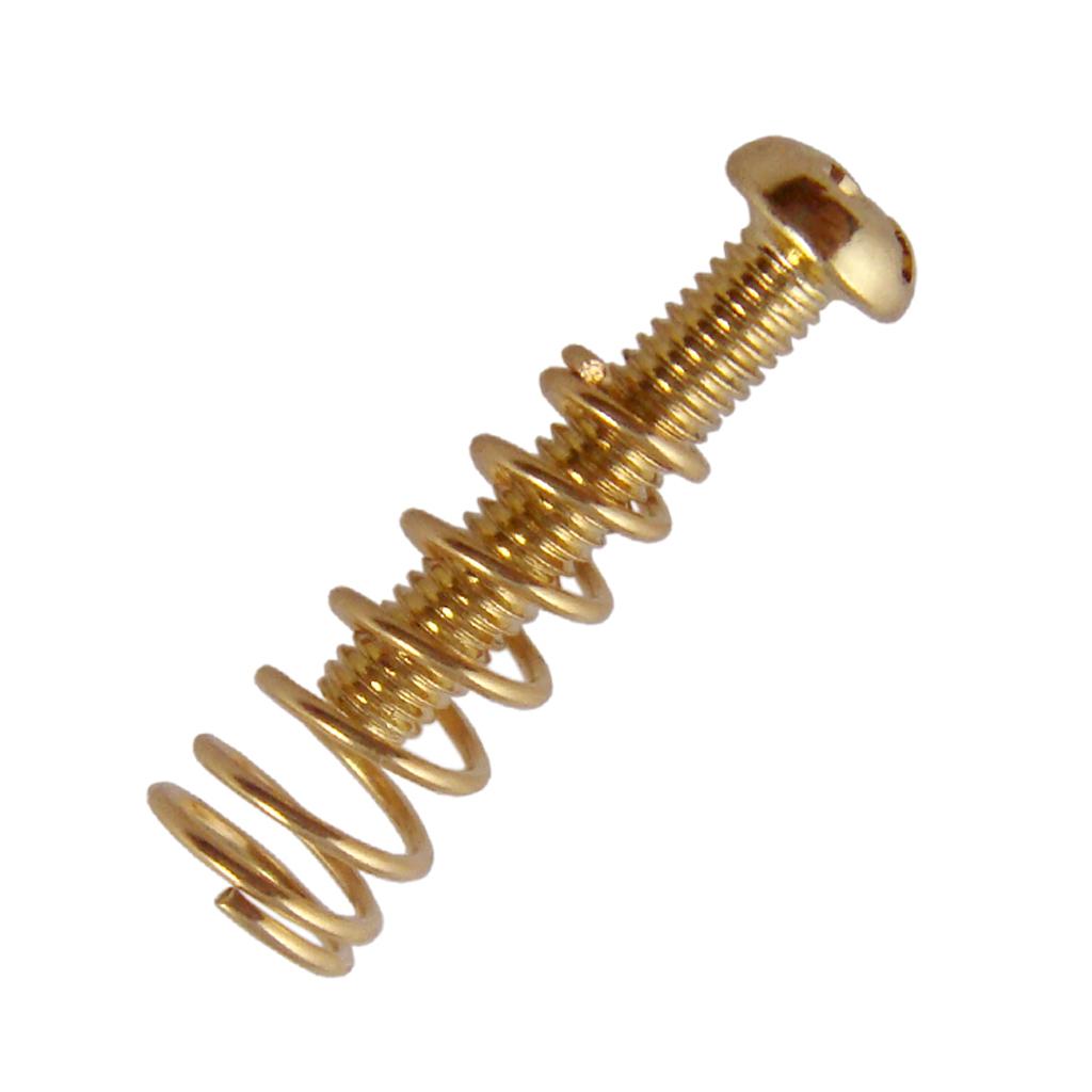 Brugstaartstuk Schroeven Pagod - Musical Instrument Repairs recensie en prijs