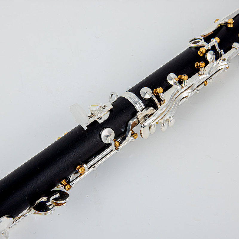 Japan Gloednieuwe Professionel - Musical Instrument Japan recensie en prijs