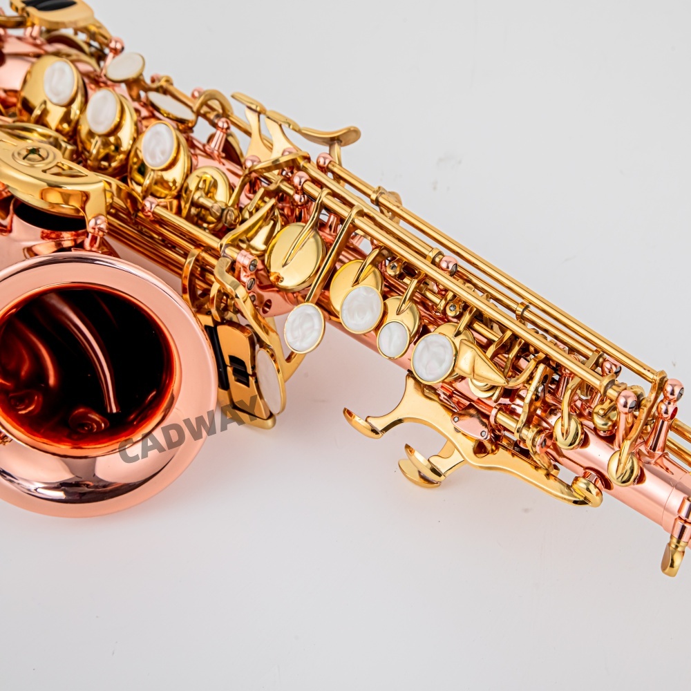Japan Saxofoon Sopraan B plat  - Musical Instrument Japan recensie en prijs